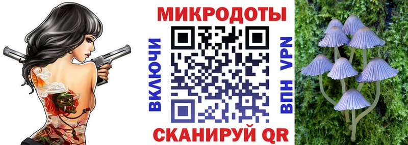 Галлюциногенные грибы ЛСД  Краснослободск 